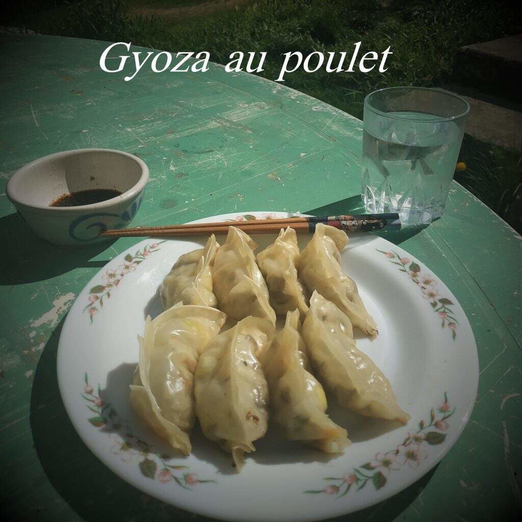 Gyoza Poulet Recette Sans Porc Simple Et Efficace