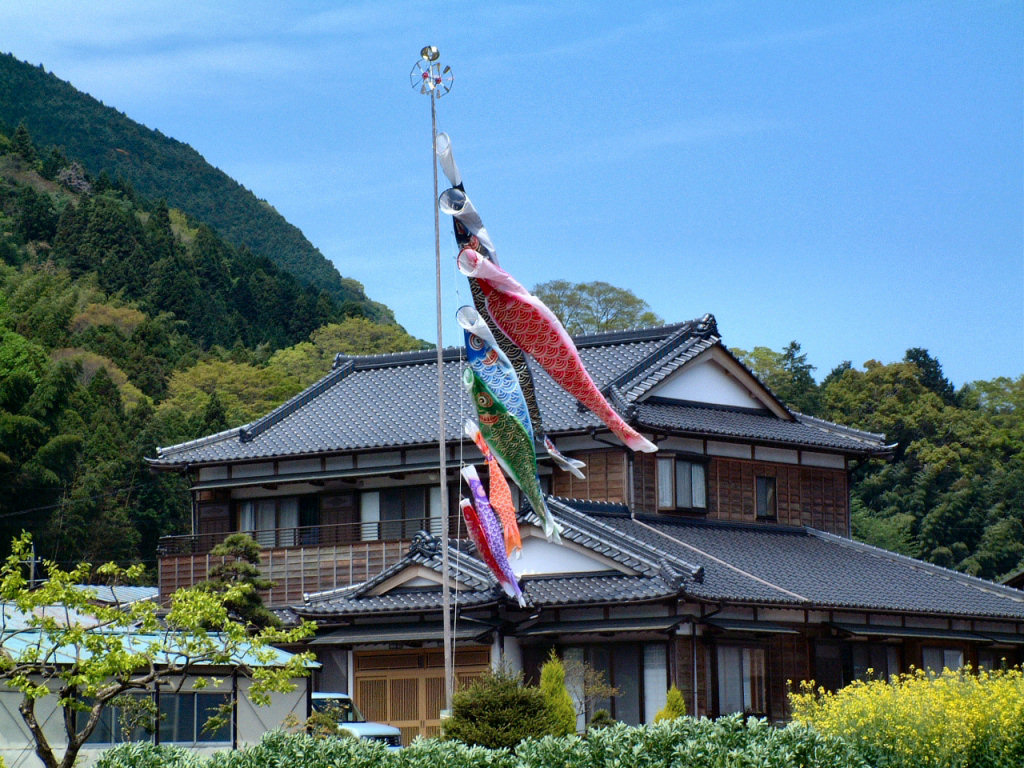 bannière carpe koi Japon