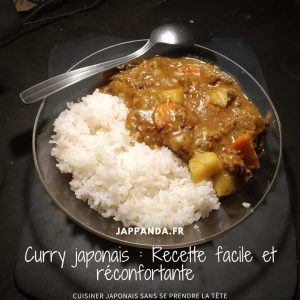 curry japonais prêt à être dégusté