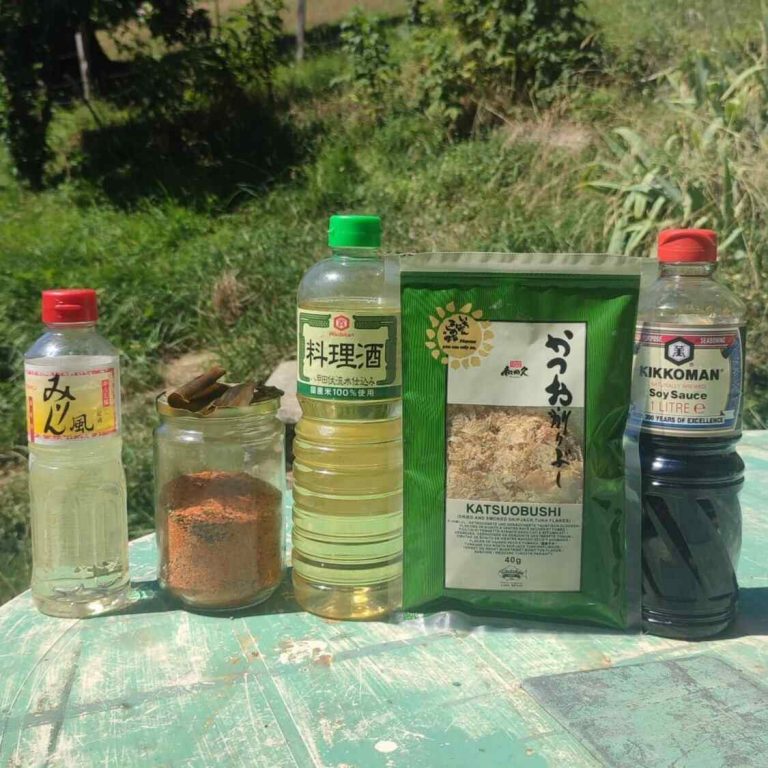 Mentsuyu, recette estivale de sauce froide pour nouilles japonaises